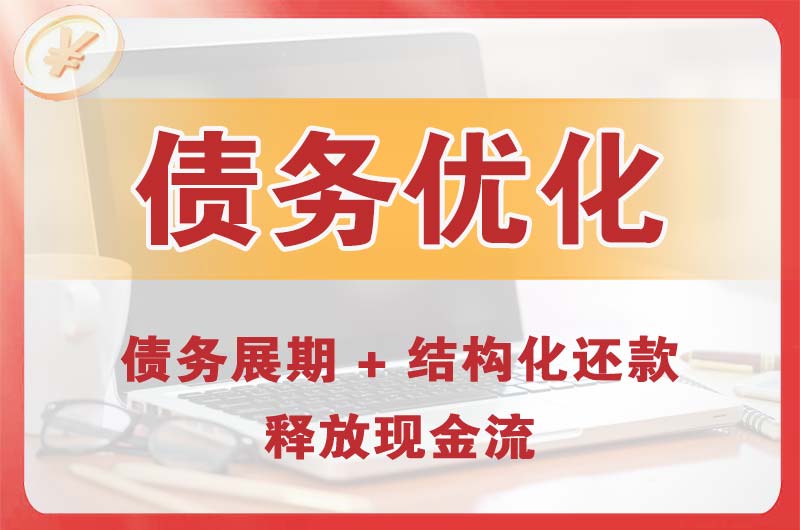 阳新债务优化