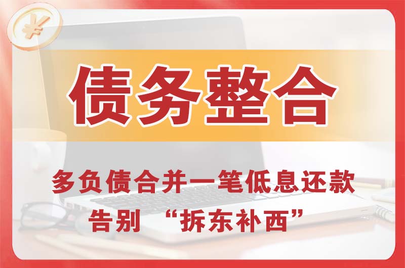 阳新债务整合