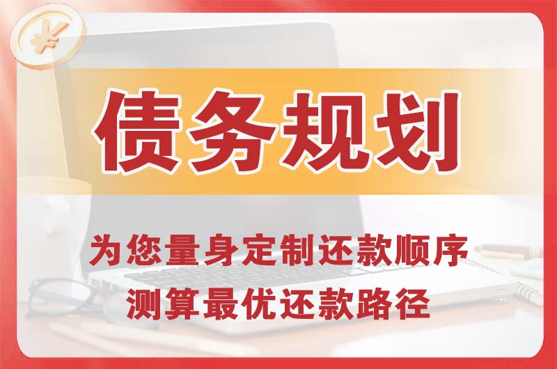 阳新债务规划